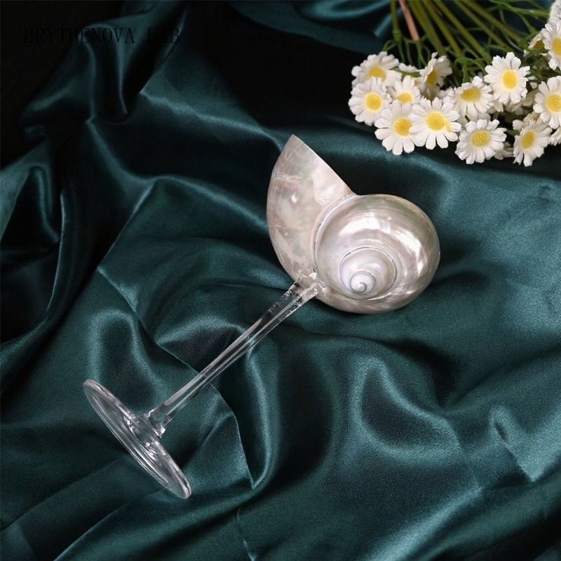 Light Luxury Conch Shell Champ - Lighting Glass Photography ulasan dan harga