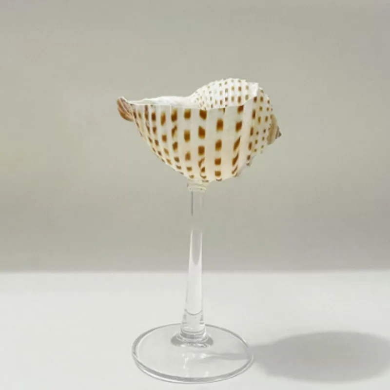 Light Luxury Conch Shell Champ - Lighting Glass Photography ulasan dan harga