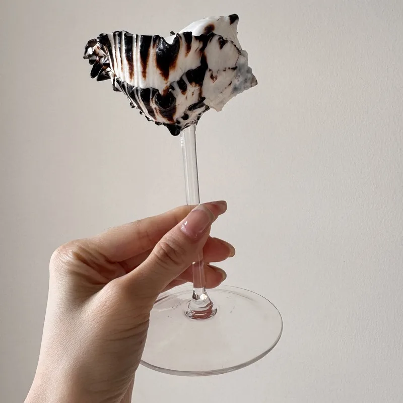 Light Luxury Conch Shell Champ - Lighting Glass Photography ulasan dan harga
